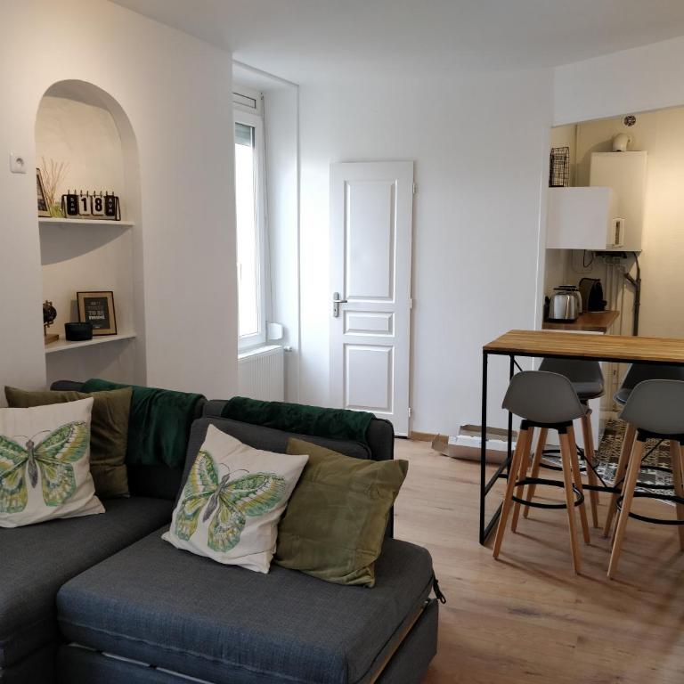 Cosy T2 31m2 - Centre-Ville Dijon - Gare et Darcy - Appartement 1 Chambre - 1