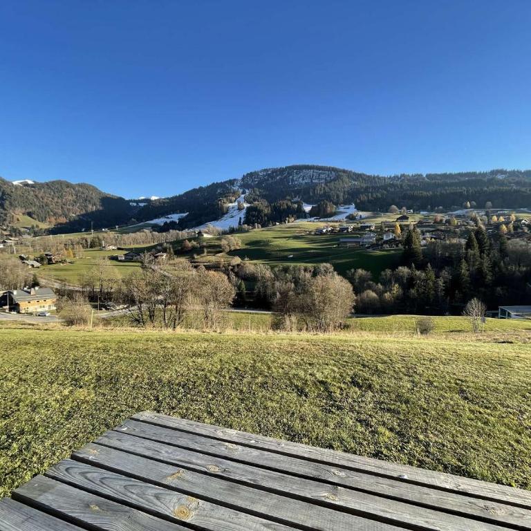 Appartement 2 pièces cabine à 700m du village - Praz-Sur-Arly - 6 pers - Ski et lac prox. - Appartement 1 Chambre - 11