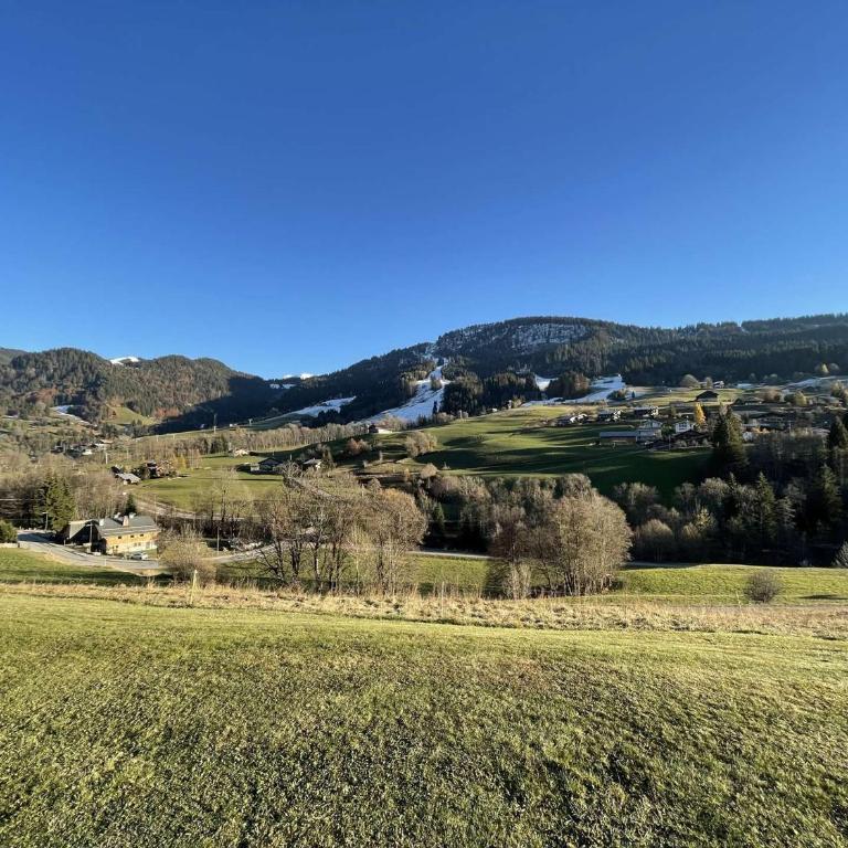 Appartement 2 pièces cabine à 700m du village - Praz-Sur-Arly - 6 pers - Ski et lac prox. - Appartement 1 Chambre - 12