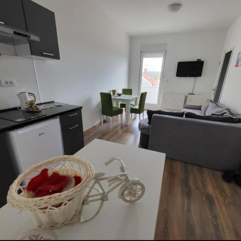 Apartmani Nikolaj - Apartman sa 1 Spavaćom Sobom - 7