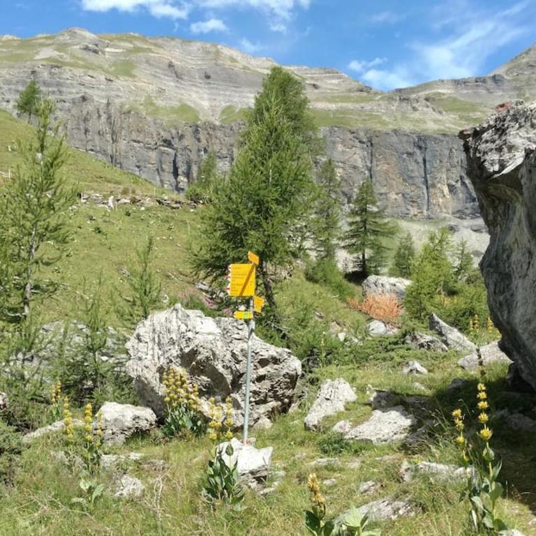 Appart spacieux près des Violettes Crans-Montana - Apartment mit 2 Schlafzimmern - 25