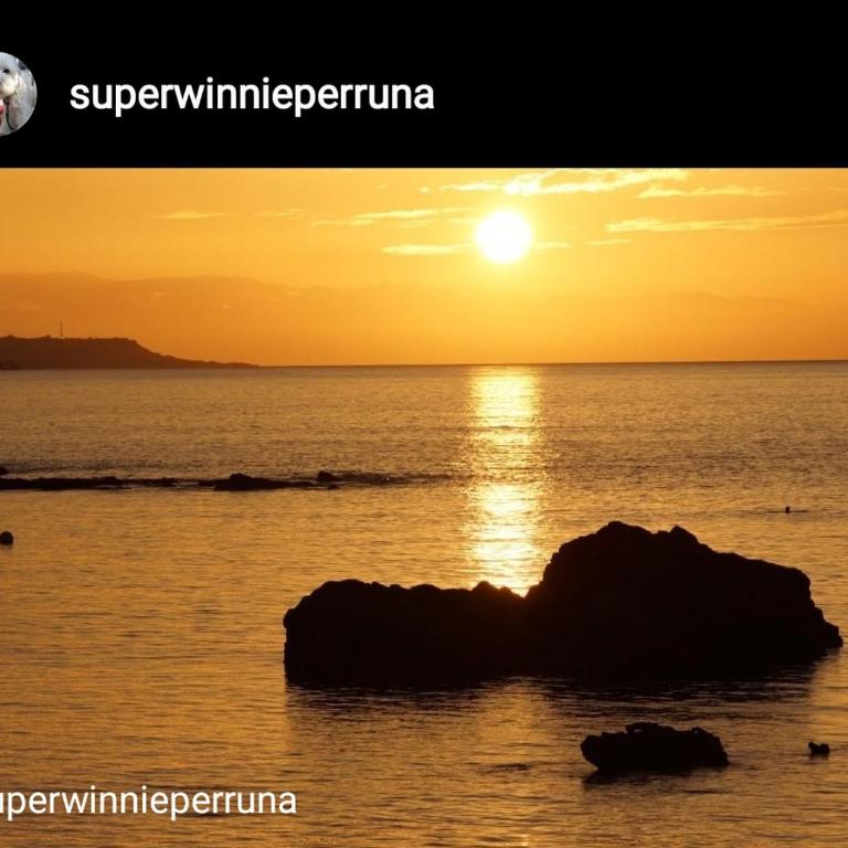 Winnie's Homestay - Apartamento Estudio con vistas al mar - 16