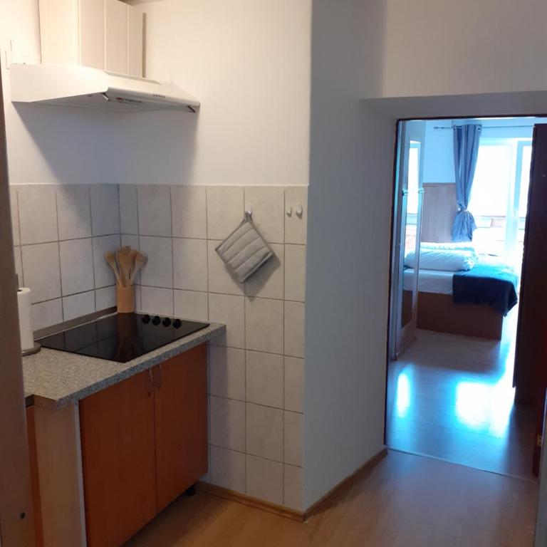 Zirnberg Appartements - Appartamento - 6