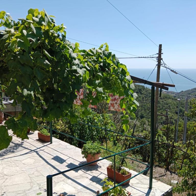 CA DU STEA - Casa con 2 Camere da Letto - 18