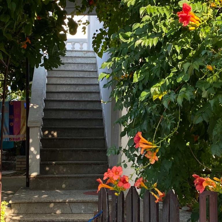 Vesela vila - Apartman sa 3 Spavaće Sobe - 2