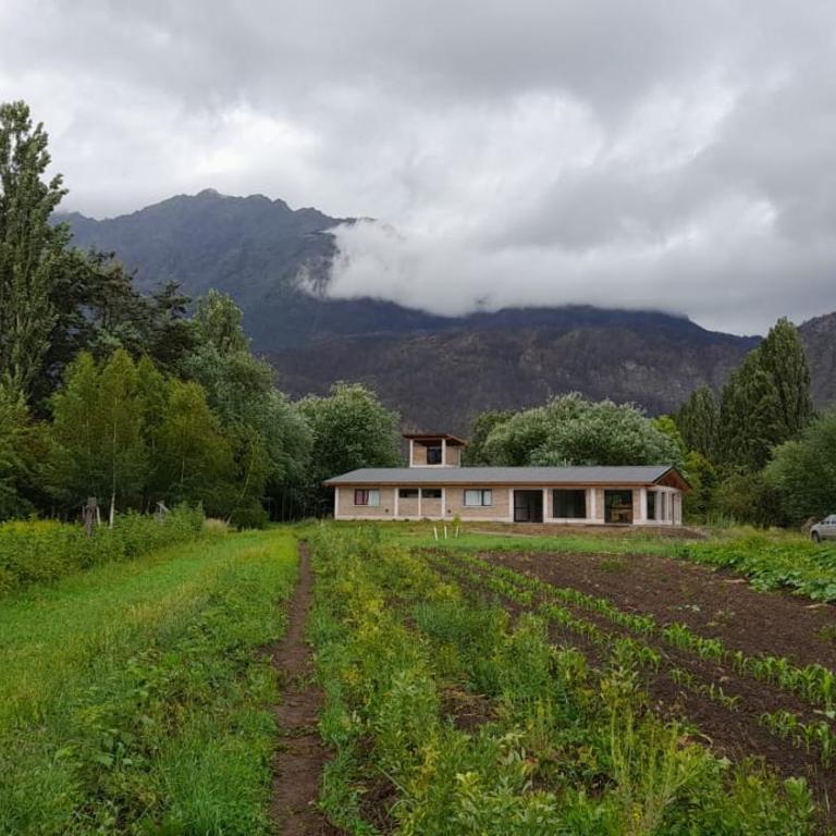 PUERTO HOSTEL - Habitación Cuádruple - vistas al jardín - 5