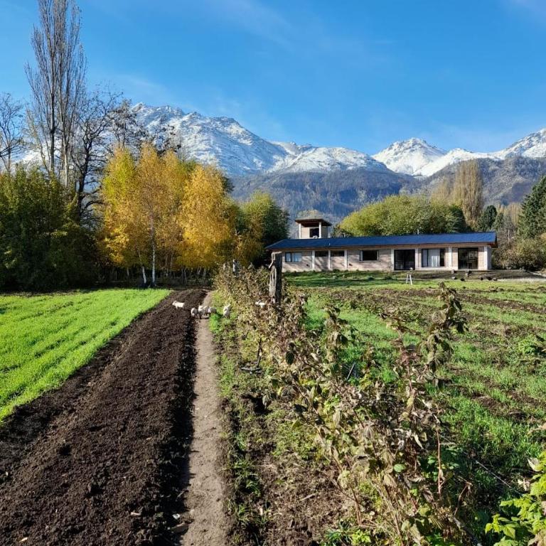 PUERTO HOSTEL - Habitación Cuádruple - vistas al jardín - 3