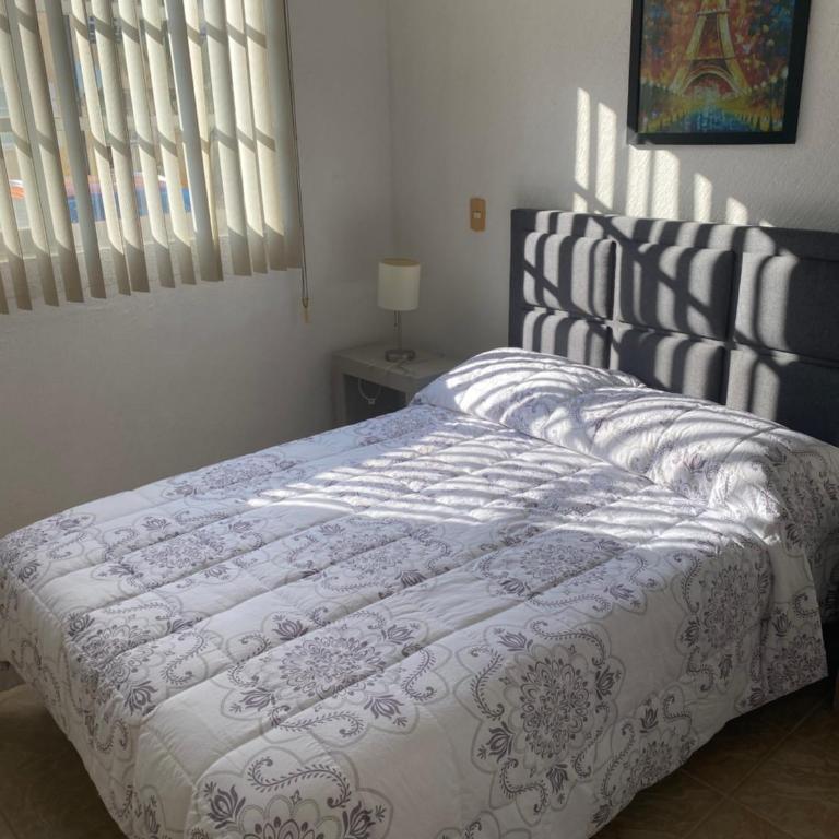 Renta de departamento en Acapulco Diamante - Apartamento de 2 dormitorios - 17