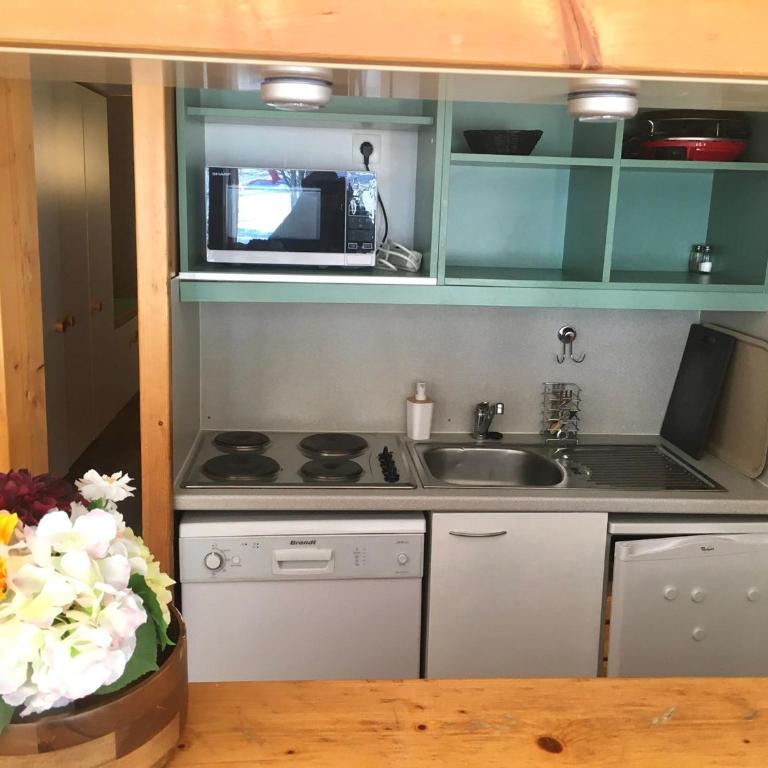 Studio au ski avec balcon et WiFi gratuit - FR-1-346-481 - Monolocale - 5