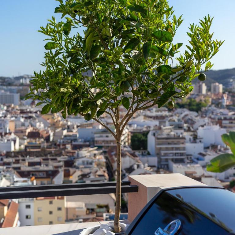 Rooftop in Fuengirola by Costarentals - Ref 59 - Apartamento Ático - 32