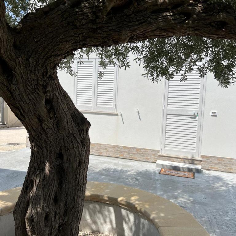 Appartamento - Isola di Mothia - Apartment mit 1 Schlafzimmer - 2