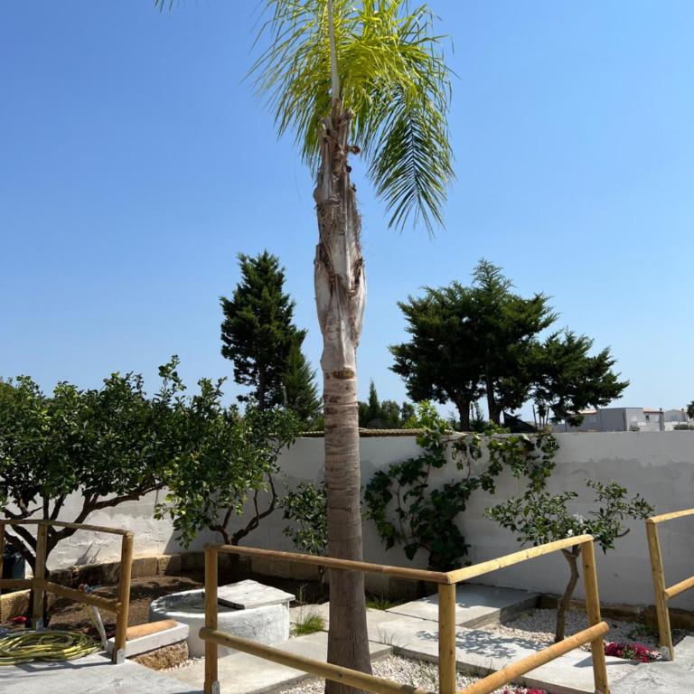 Appartamento - Isola di Mothia - Apartment mit 1 Schlafzimmer - 9