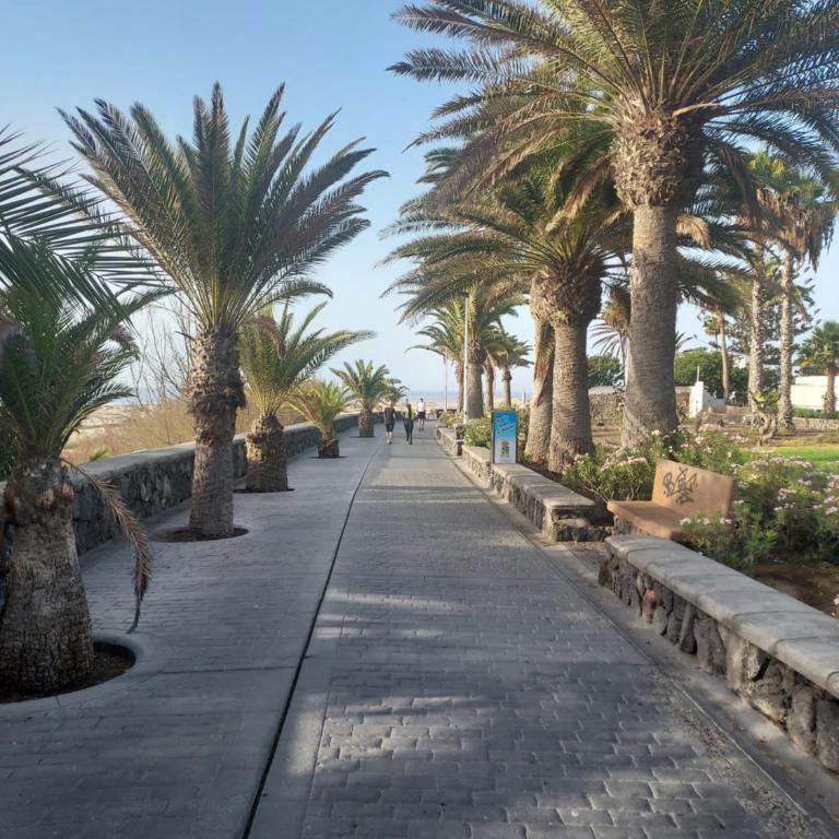 Playa del Ingles Vitamine D garantie - One-Bedroom Apartment - 12
