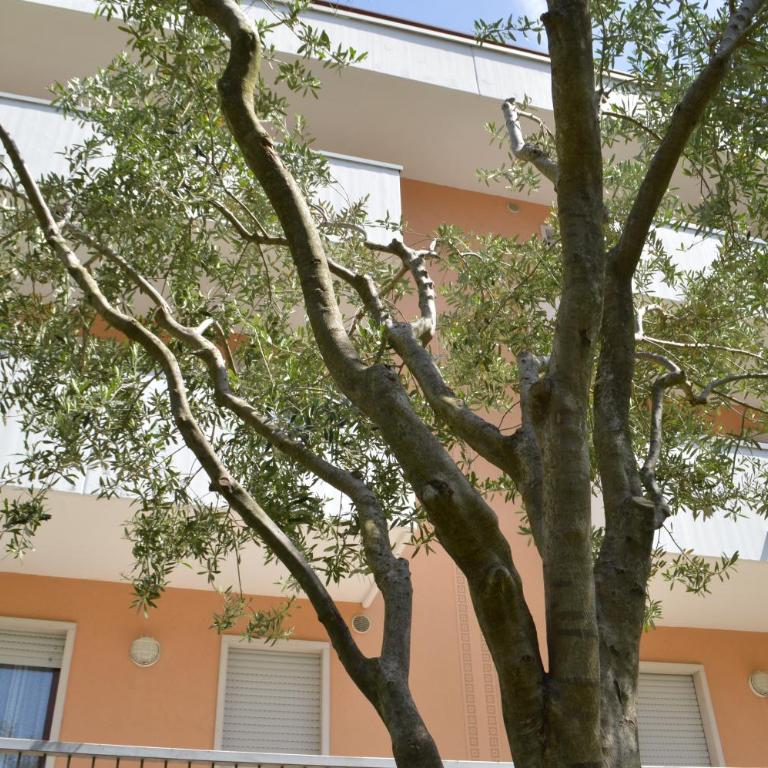 Appartamenti per Vacanze "Villa Elvi" - Appartamento con 2 Camere da Letto - 17
