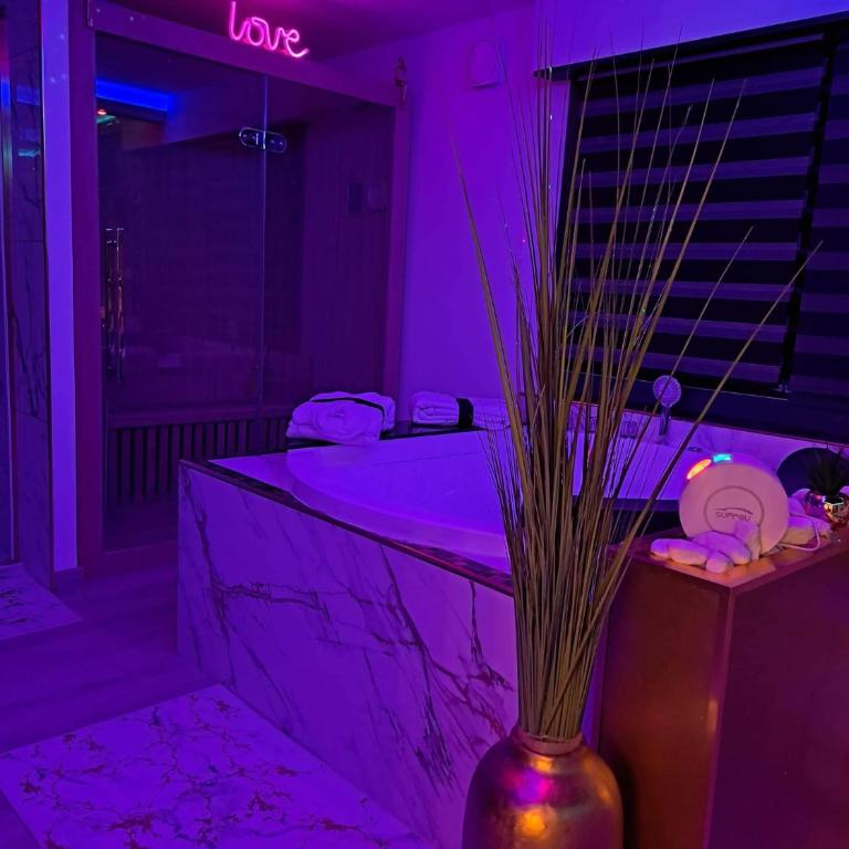 L'Aurore Love Room de prestige jacuzzi sauna piscine chauffée cuisine - Maison 1 Chambre - 54