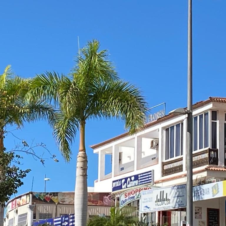 Las Flores studio 1 - Estudio - 21