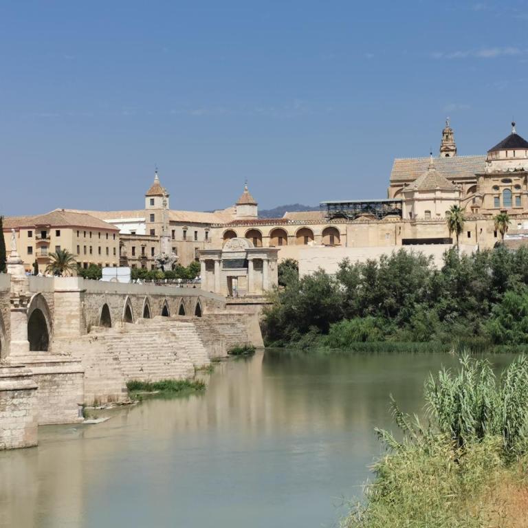 Great location with Free private parking - Apartamento - 24
