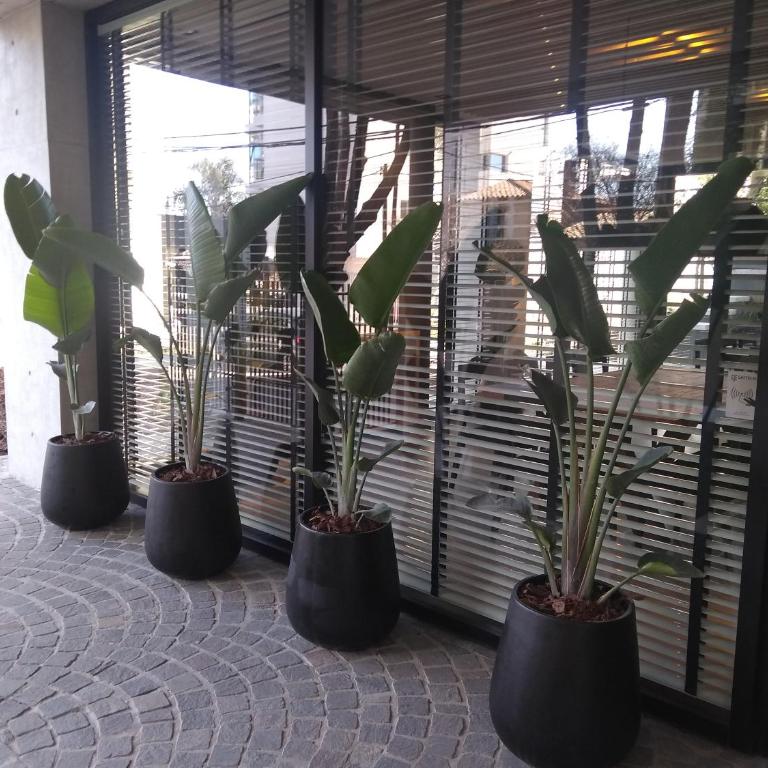 304 San Lorenzo - One-Bedroom Apartment - 33