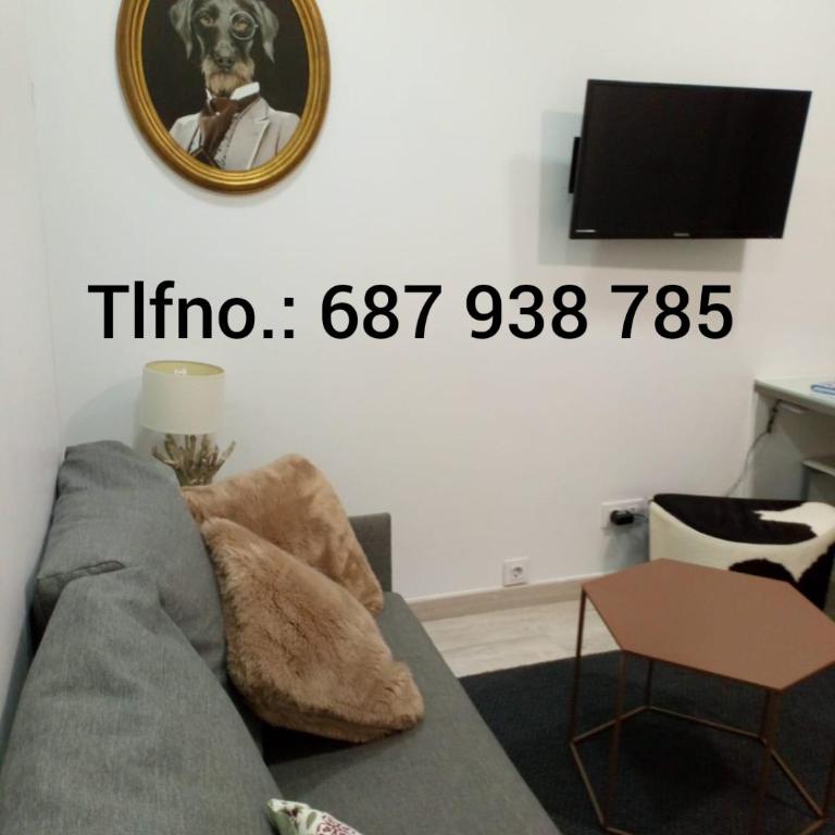 El Sentir de Toledo parking incluido - Apartamento - 22