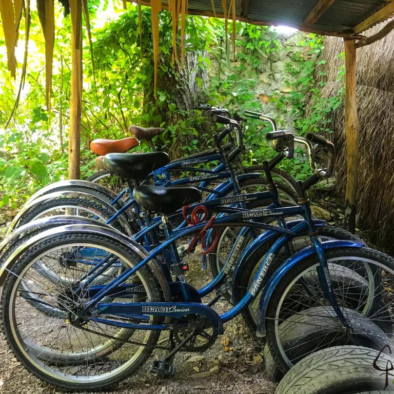 Guarumbo - Tienda - 17