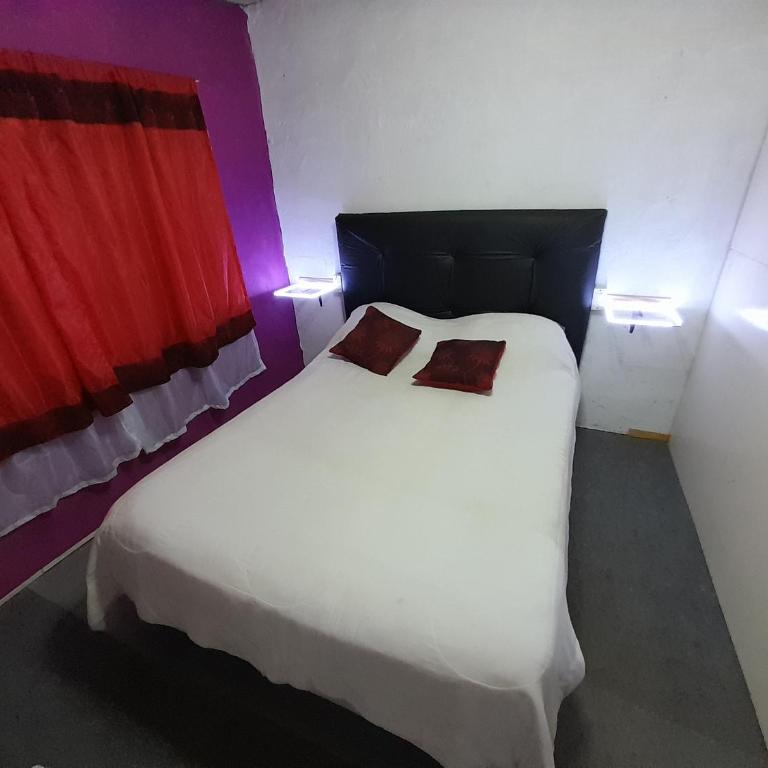 Pauli - Apartamento de 1 dormitorio - 1