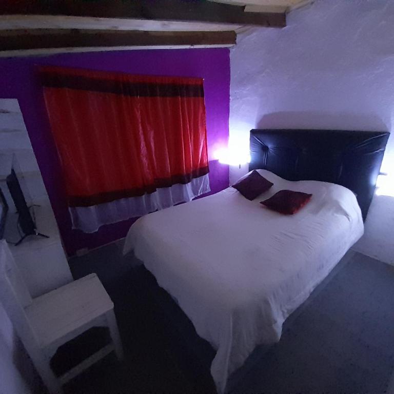 Pauli - Apartamento de 1 dormitorio - 10