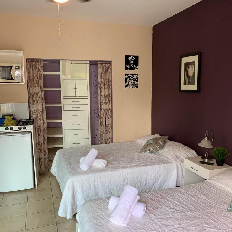 Satya Suites & Portal San Angel Flats - Deluxe Studio - 19