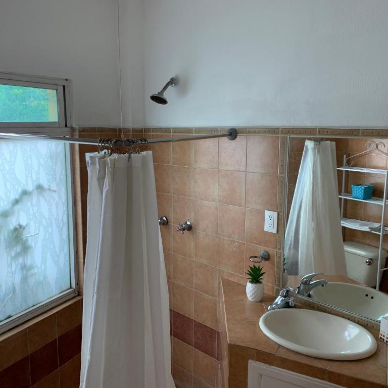 Satya Suites & Portal San Angel Flats - Deluxe Studio - 20