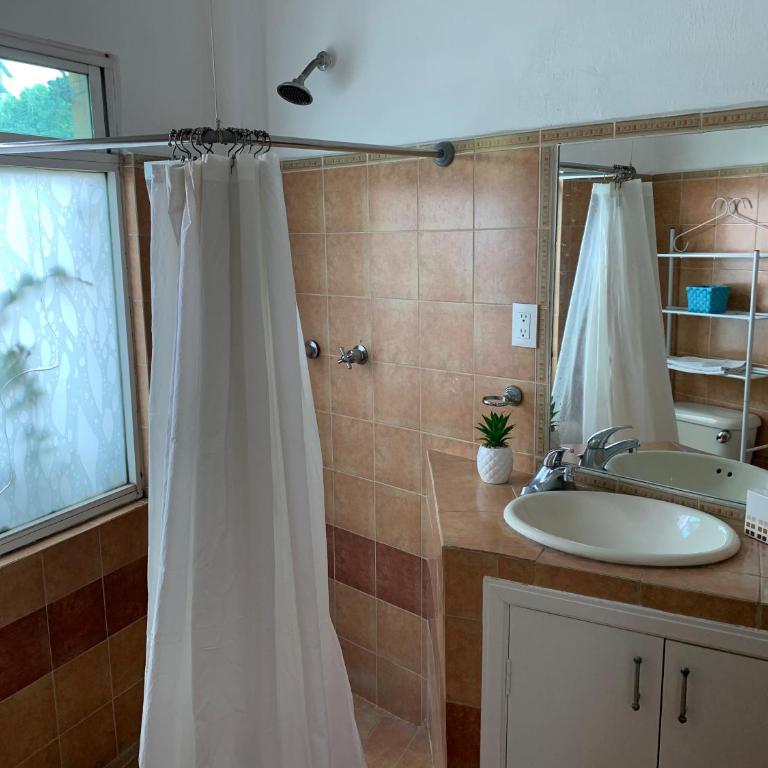 Satya Suites & Portal San Angel Flats - Deluxe Studio - 16