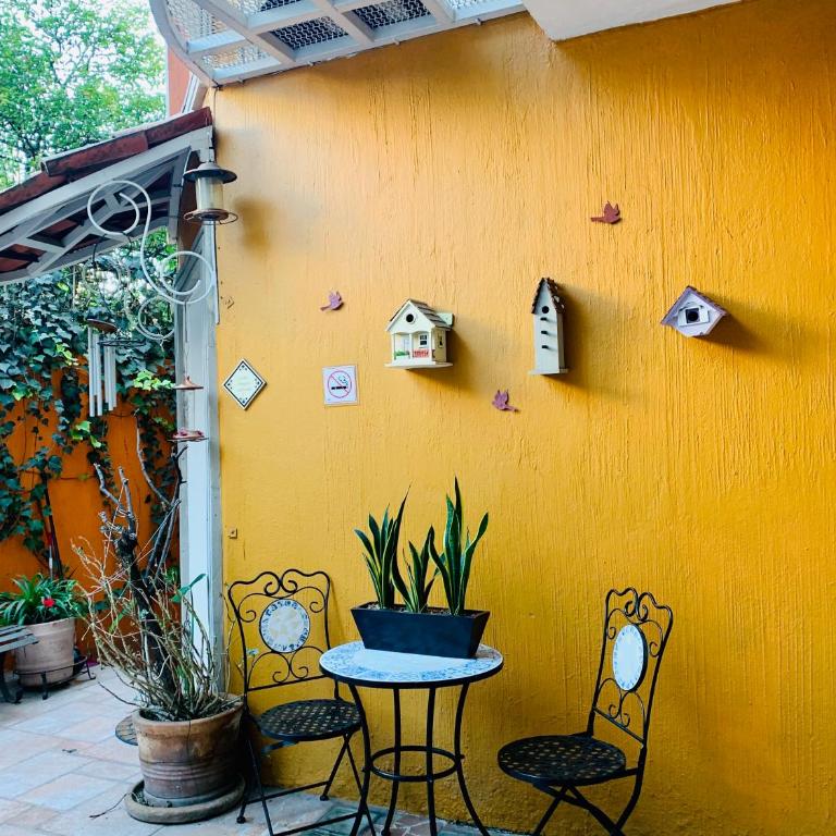 Satya Suites & Portal San Angel Flats - Deluxe Studio - 14