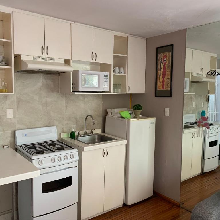 Satya Suites & Portal San Angel Flats - Apartment - 14
