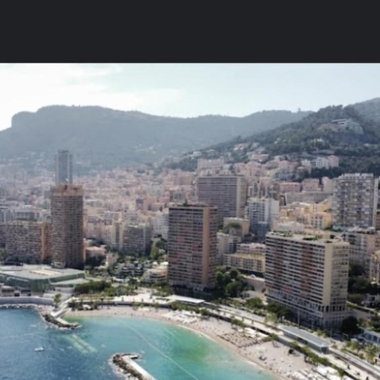 Une terrasse sur Monaco logement 2 chambre - Appartement 2 Chambres - 21