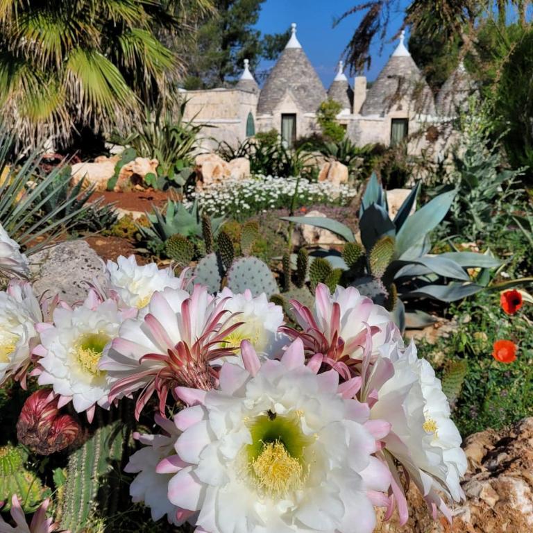 Trullo Bosco Libero Ostuni - Casa con 1 Camera da Letto - 6