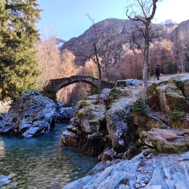 Chalet Les Ecrins - Chalet - 38