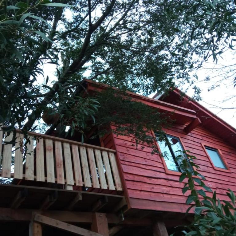 CABAÑAS EL DIUCO EN COÑARIPE 6 - One-Bedroom House - 1