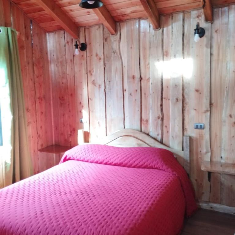 CABAÑAS EL DIUCO EN COÑARIPE 6 - One-Bedroom House - 7