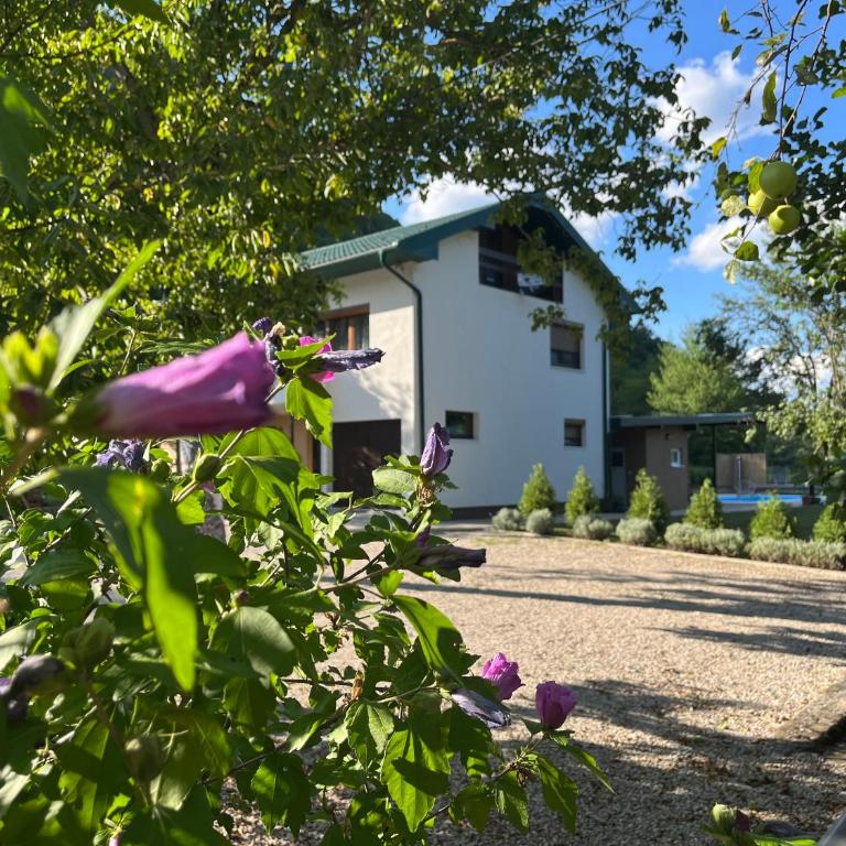 Soko holiday home Bihac - Villa - 18
