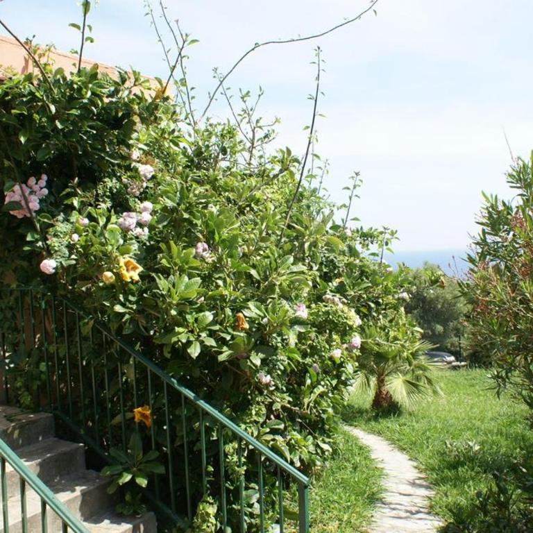 Tarifa-Blick auf Afrika, Haus am Meer, Haustiere erlaubt - Casa de 2 dormitorios - 11