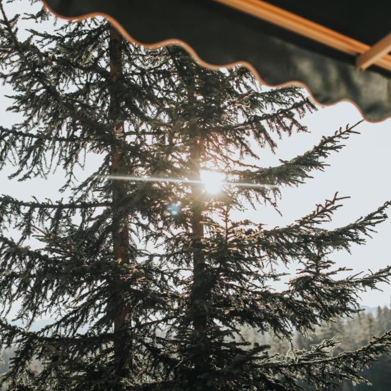 Momo's House - Three-Bedroom Villa - 8