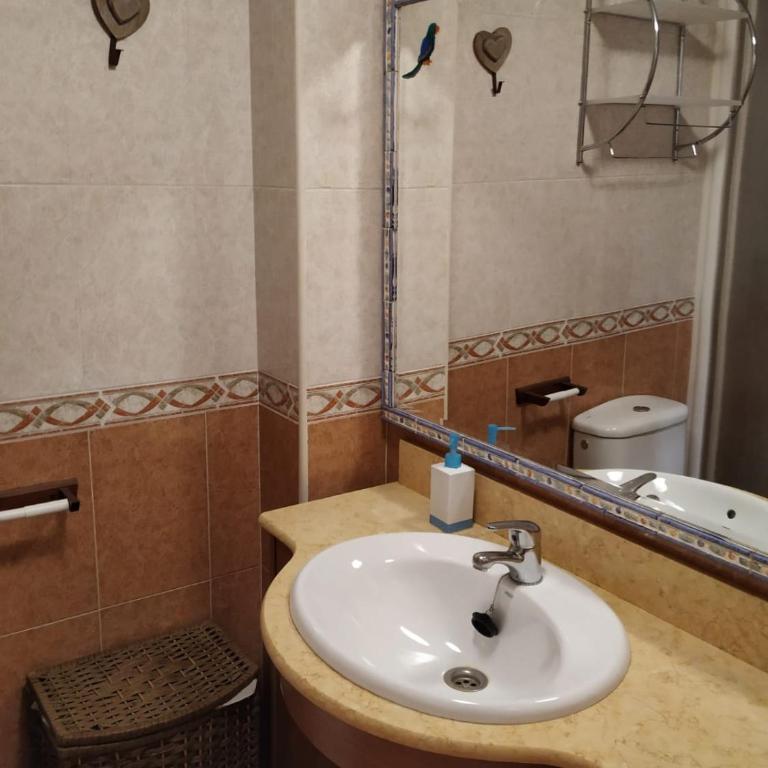 Apartamento en Escarrilla, sallent de gallego - Apartamento de 1 dormitorio - 22
