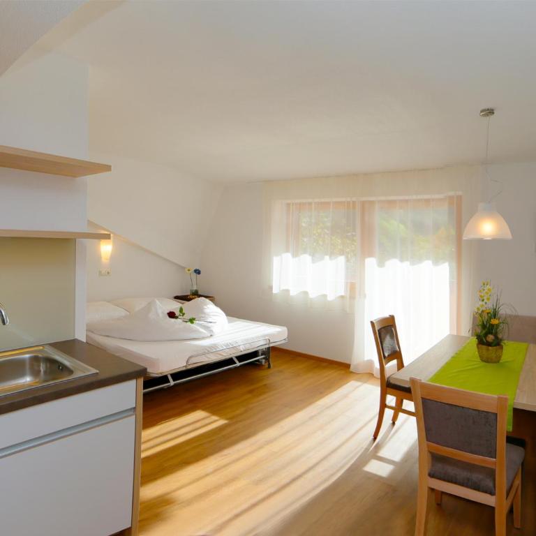 Garni Appartement Alpenresidence - Apartamento con vistas a las montañas - 17