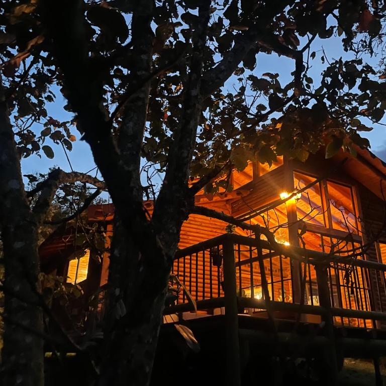 BRUMA BLANCA CHALETS - Superior Chalet - 12