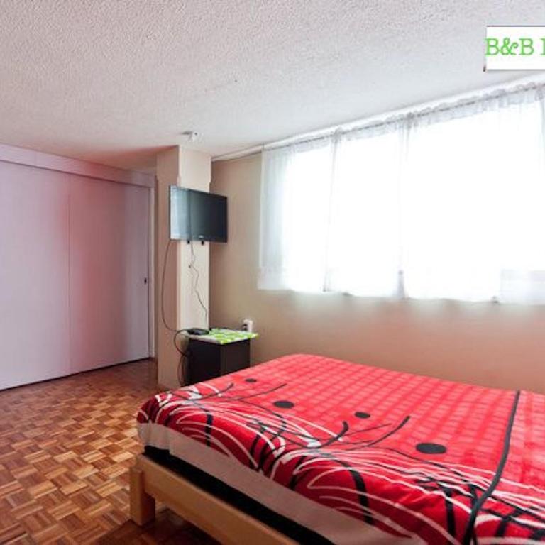 B&B México Roma Norte - Superior Double Room - 17