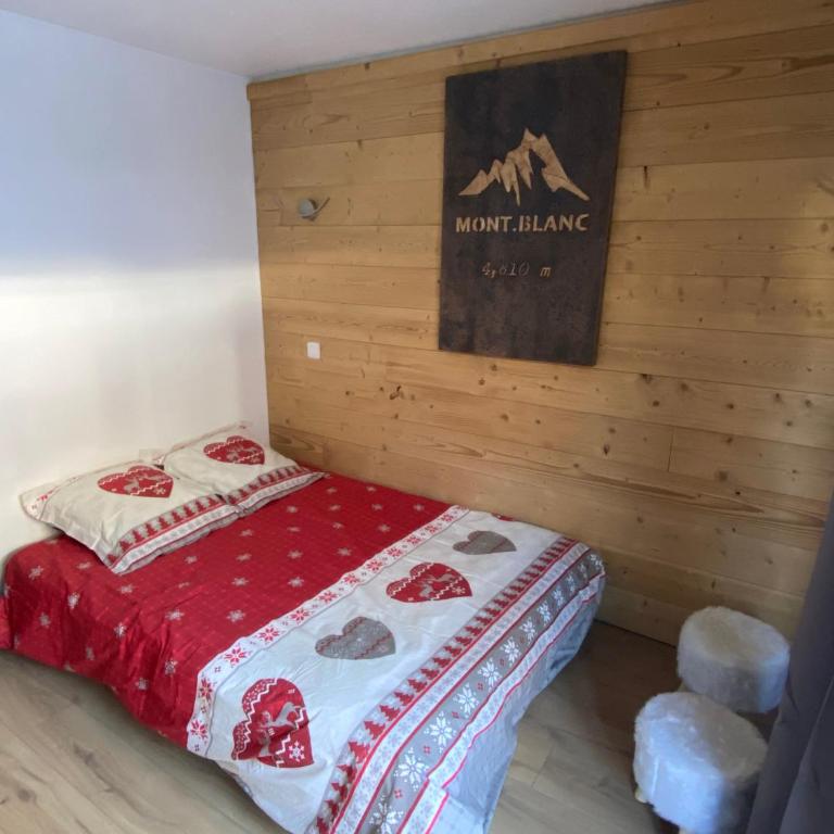 Chaleureux appartement rénové ambiance chalet - Appartement 1 Chambre - 10