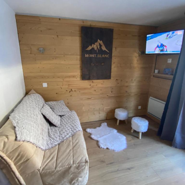 Chaleureux appartement rénové ambiance chalet - Appartement 1 Chambre - 2