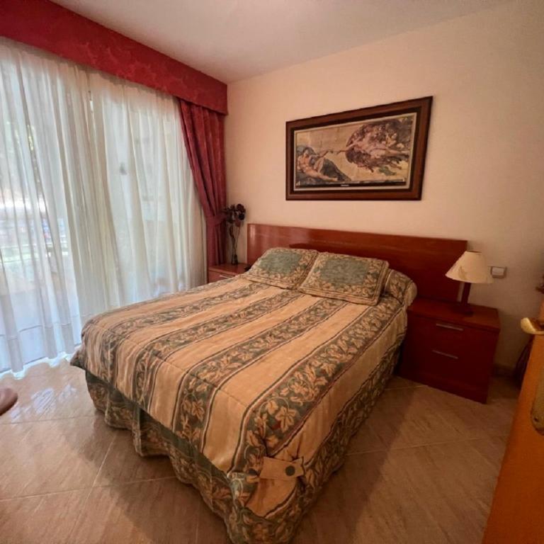 El Circo 1 - One-Bedroom Apartment - 5