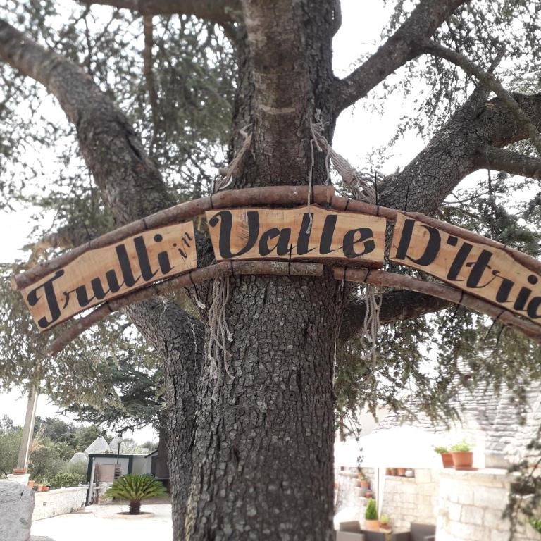 Trulli in Valle D'Itria - Casa Vacanze - 12