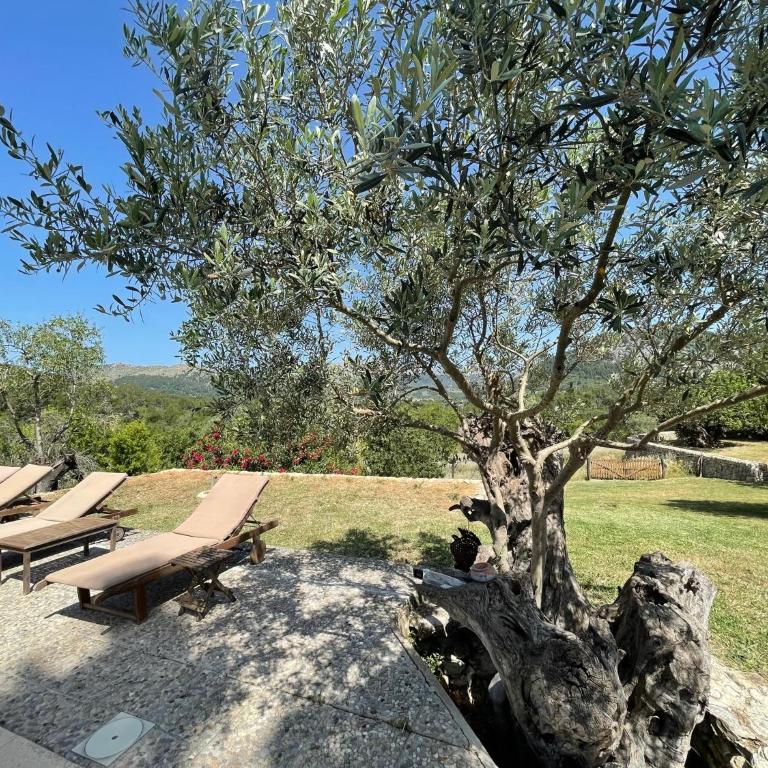 Villa Can Guillo Pollensa - Villa con piscina privada - 20