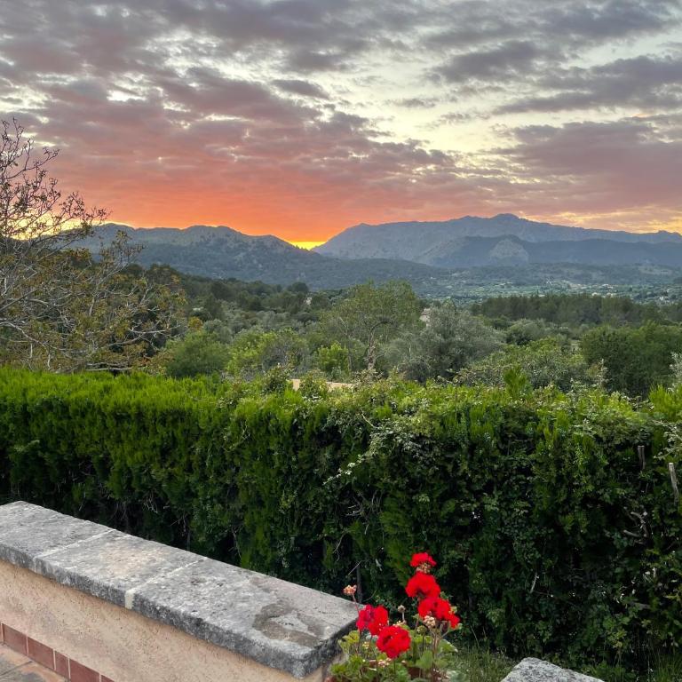 Villa Can Guillo Pollensa - Villa con piscina privada - 62