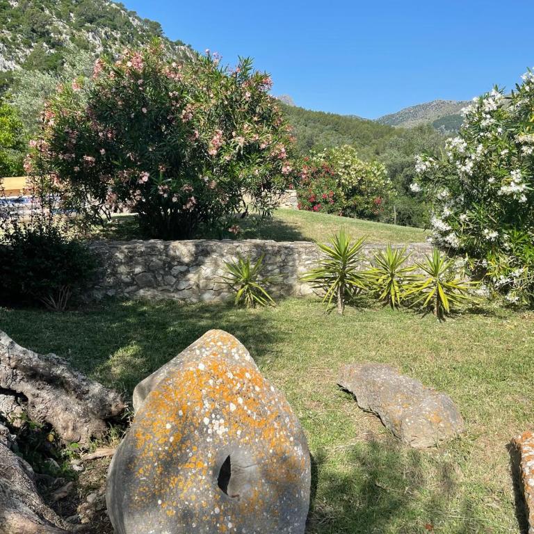 Villa Can Guillo Pollensa - Villa con piscina privada - 48